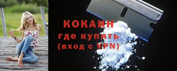 шишки Армянск