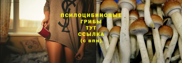 стаф Арсеньев