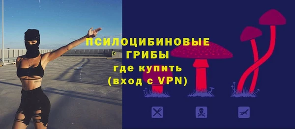 стаф Арсеньев
