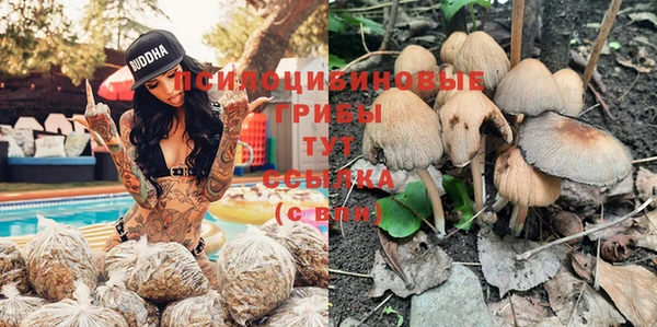 бутик Аркадак