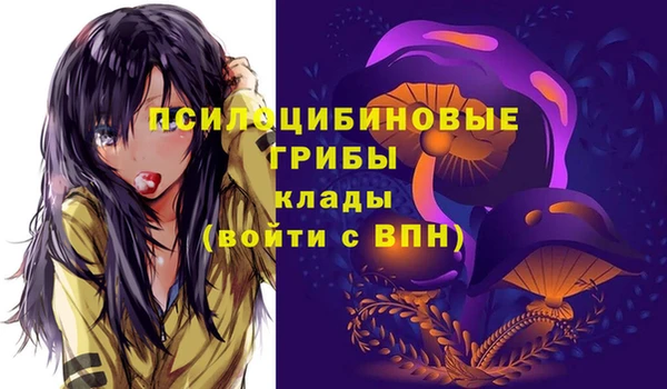 стаф Арсеньев
